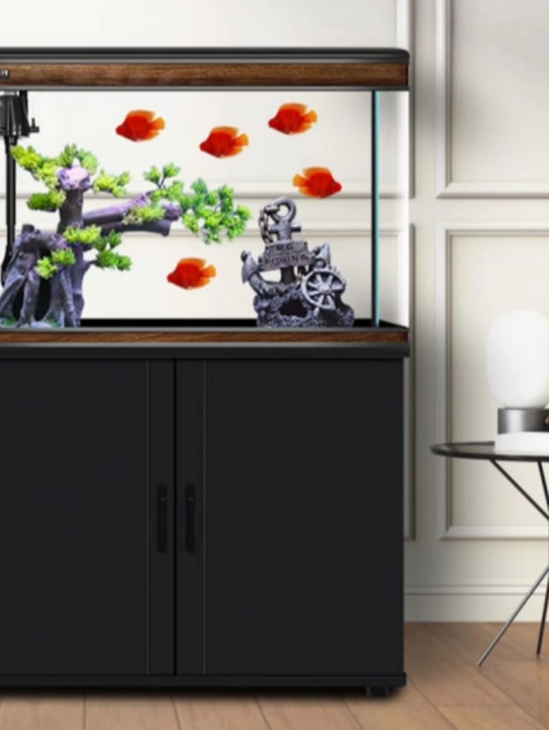 WhatsApp Image 2026-01-02 at 3.10.23 PM