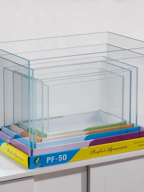 WhatsApp Image 2026-01-04 at 7.48.57 PM