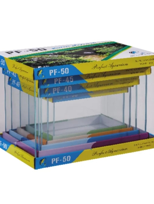 WhatsApp Image 2026-01-04 at 7.48.58 PM