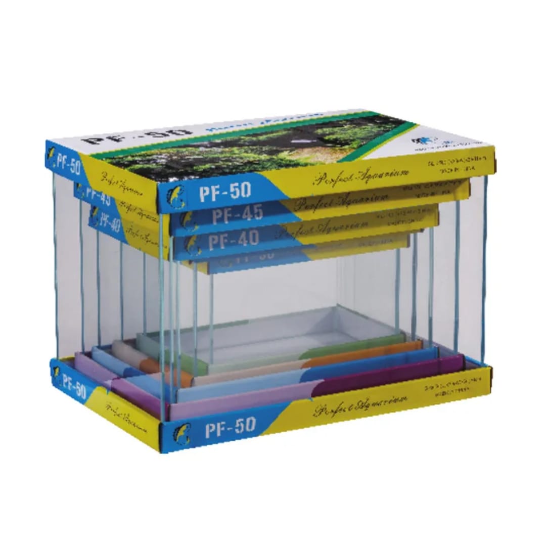 WhatsApp Image 2026-01-04 at 7.48.58 PM