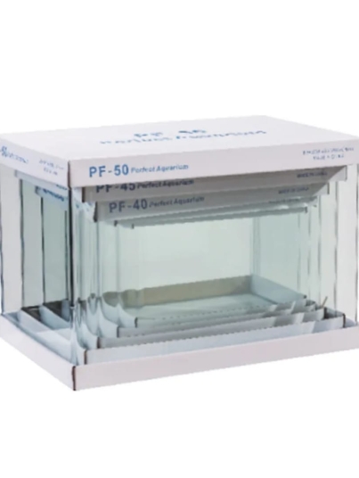 WhatsApp Image 2026-01-04 at 7.53.21 PM