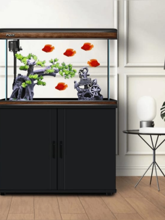 WhatsApp Image 2026-01-04 at 7.55.17 PM