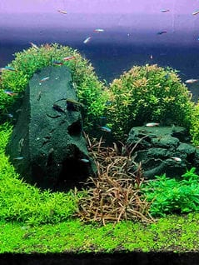 WhatsApp Image 2026-01-10 at 6.43.00 PM (1)