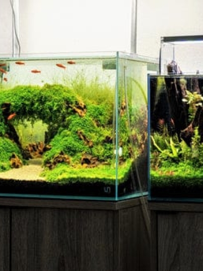 WhatsApp Image 2026-01-10 at 6.43.00 PM