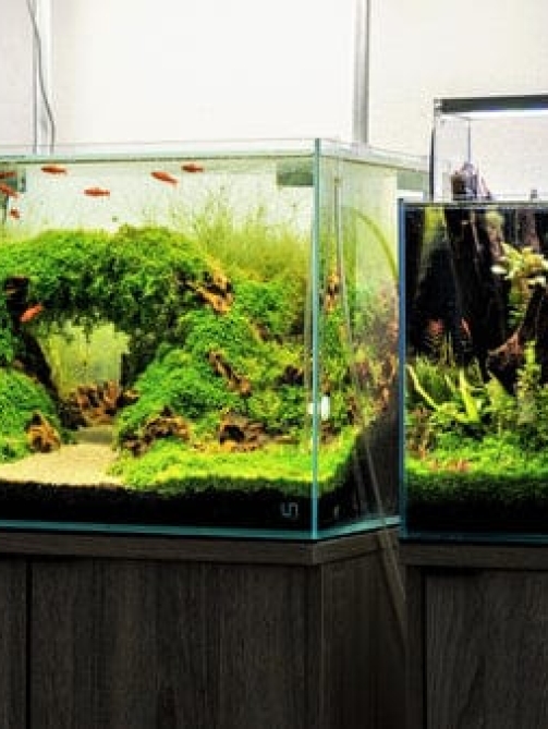 WhatsApp Image 2026-01-10 at 6.43.00 PM