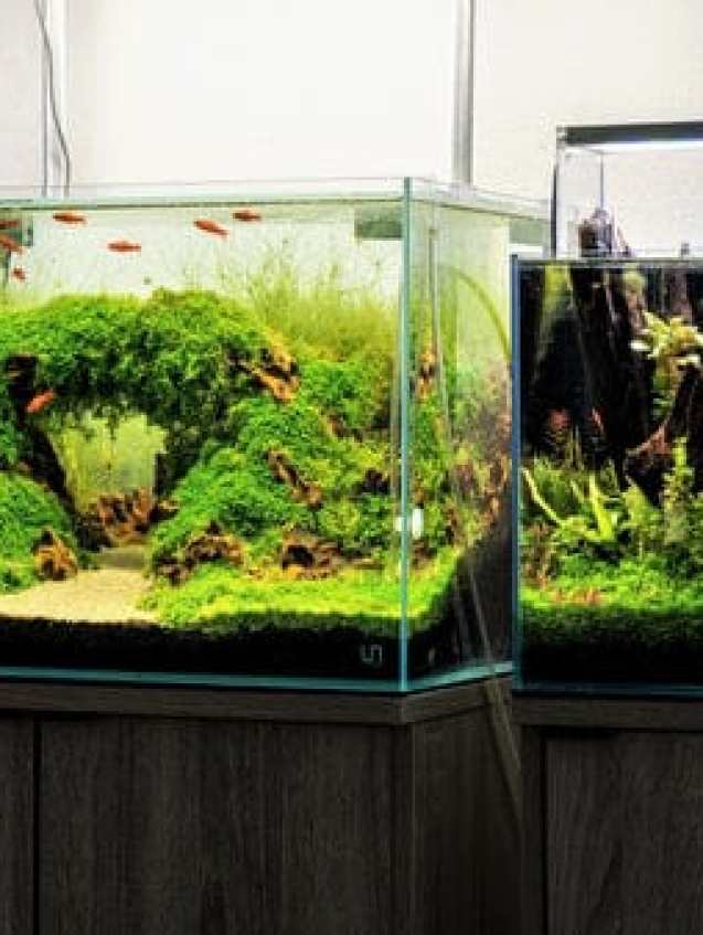 WhatsApp Image 2026-01-10 at 6.43.00 PM