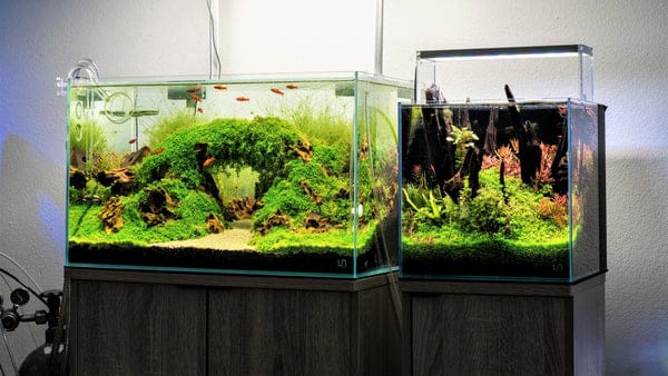 WhatsApp Image 2026-01-10 at 6.43.00 PM