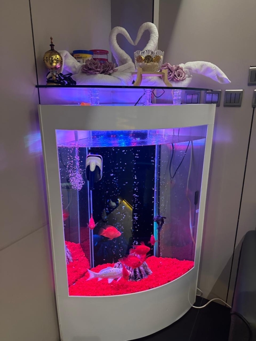 WhatsApp Image 2026-01-12 at 9.20.26 PM