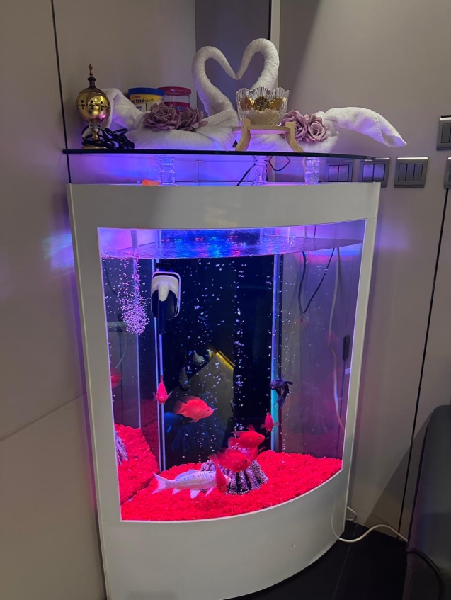 WhatsApp Image 2026-01-12 at 9.20.26 PM