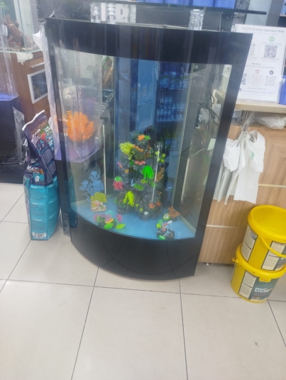 WhatsApp Image 2026-01-12 at 9.20.35 PM