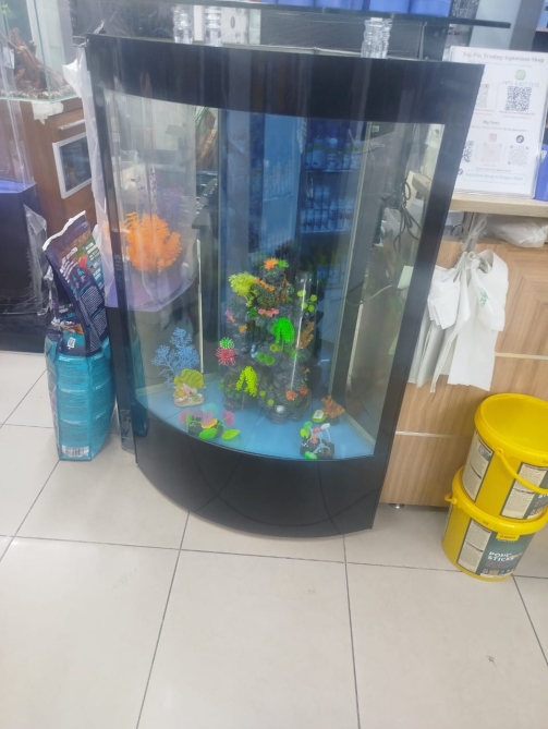 WhatsApp Image 2026-01-12 at 9.20.35 PM