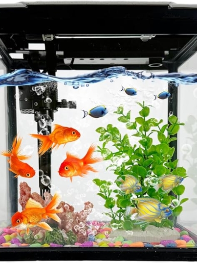 WhatsApp Image 2026-01-12 at 9.22.52 PM