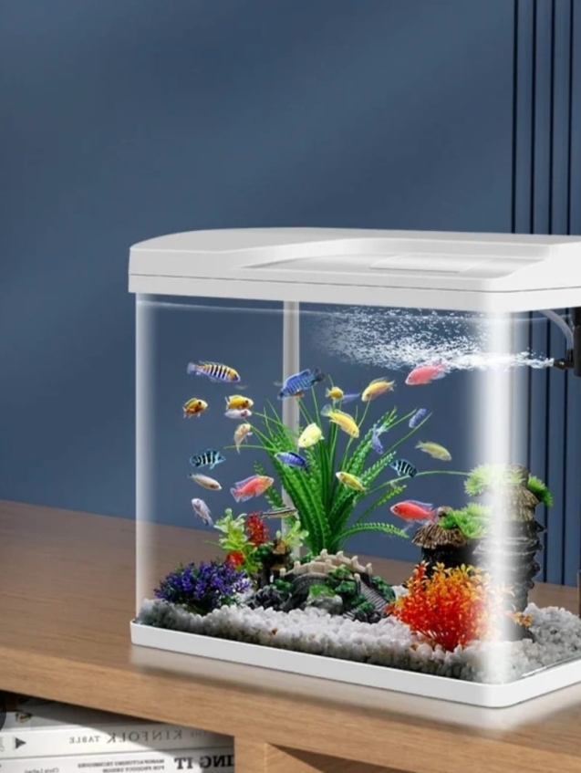 WhatsApp Image 2026-01-12 at 9.22.54 PM (1)