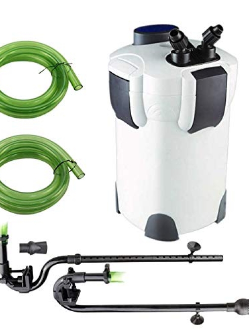 WhatsApp Image 2026-01-21 at 1.45.02 PM